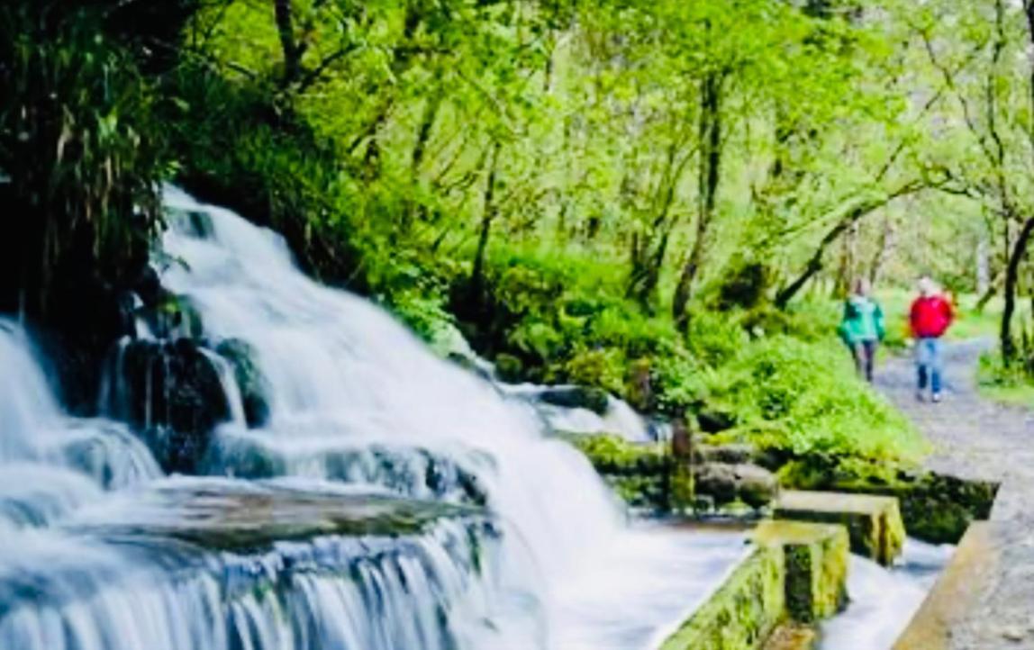 Arch House Bed and Breakfast Florencecourt Εξωτερικό φωτογραφία